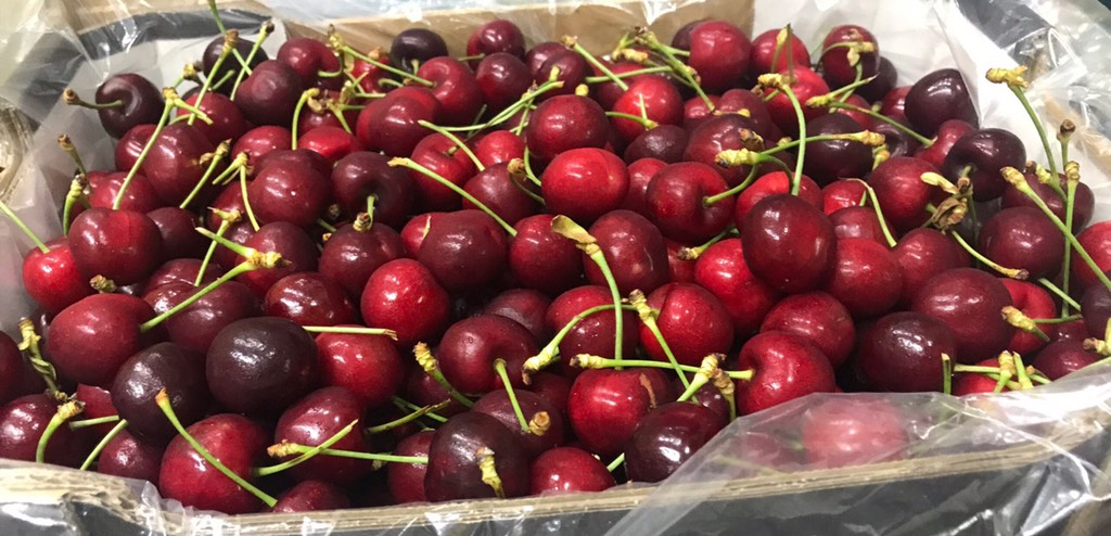 Cherry Úc Hallmark size 28-30