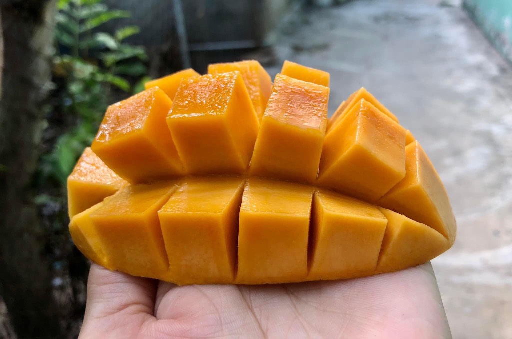 Xoài Cát Chu Cao Lãnh VIP