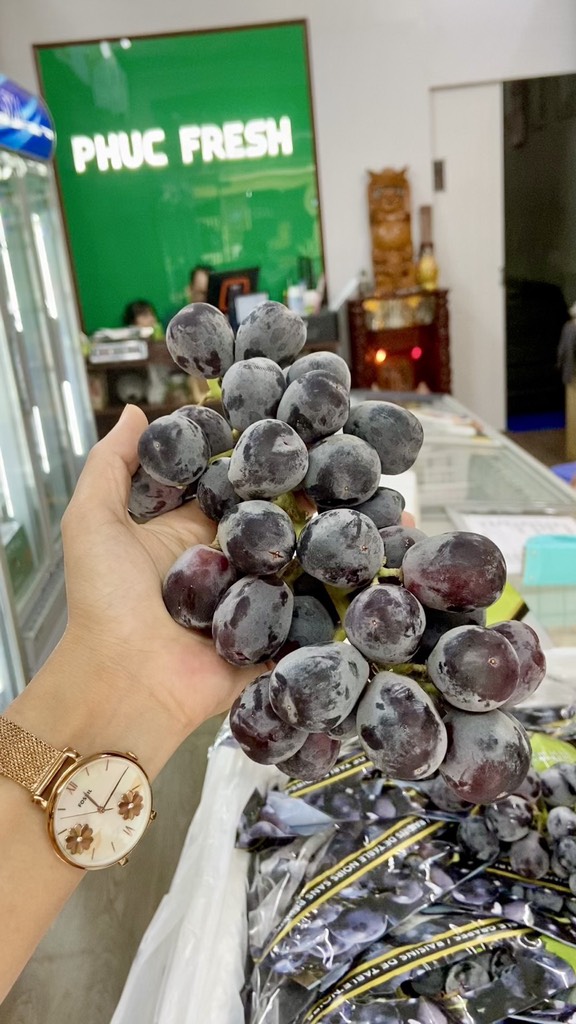 Nho đen Mỹ Pretty Lady/Midnight beauty