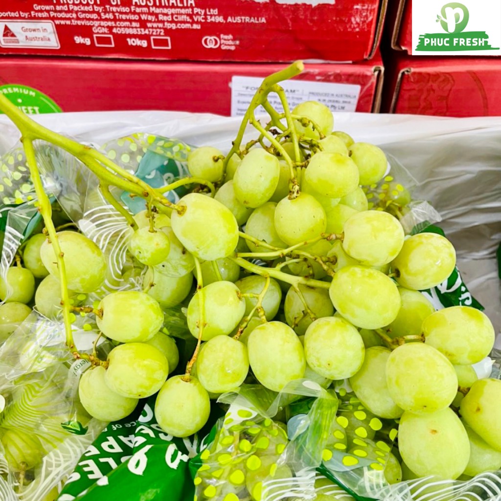 Nho xanh Úc Sweet Globe (Olive)