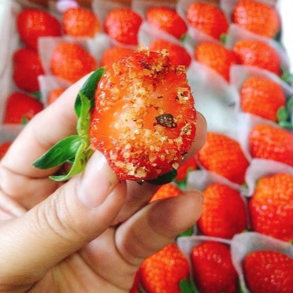 Dâu Tây giống Nhật size C (49 trái) hộp 500gr