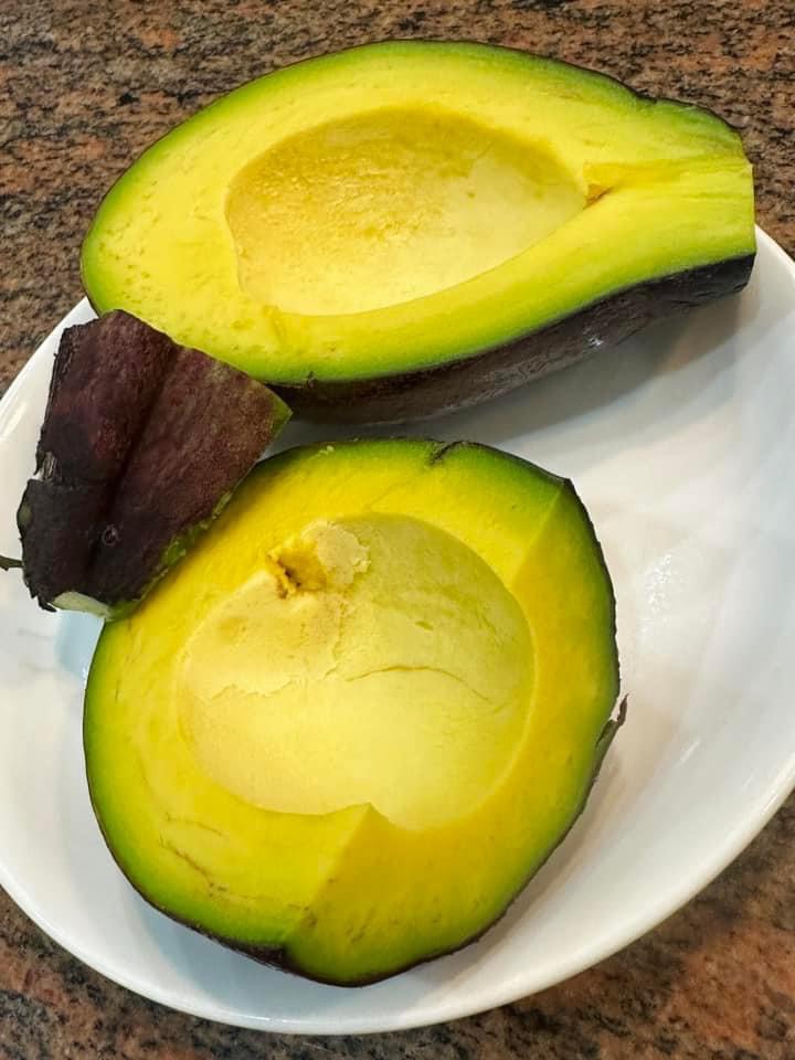 Bơ sáp canh tác an toàn