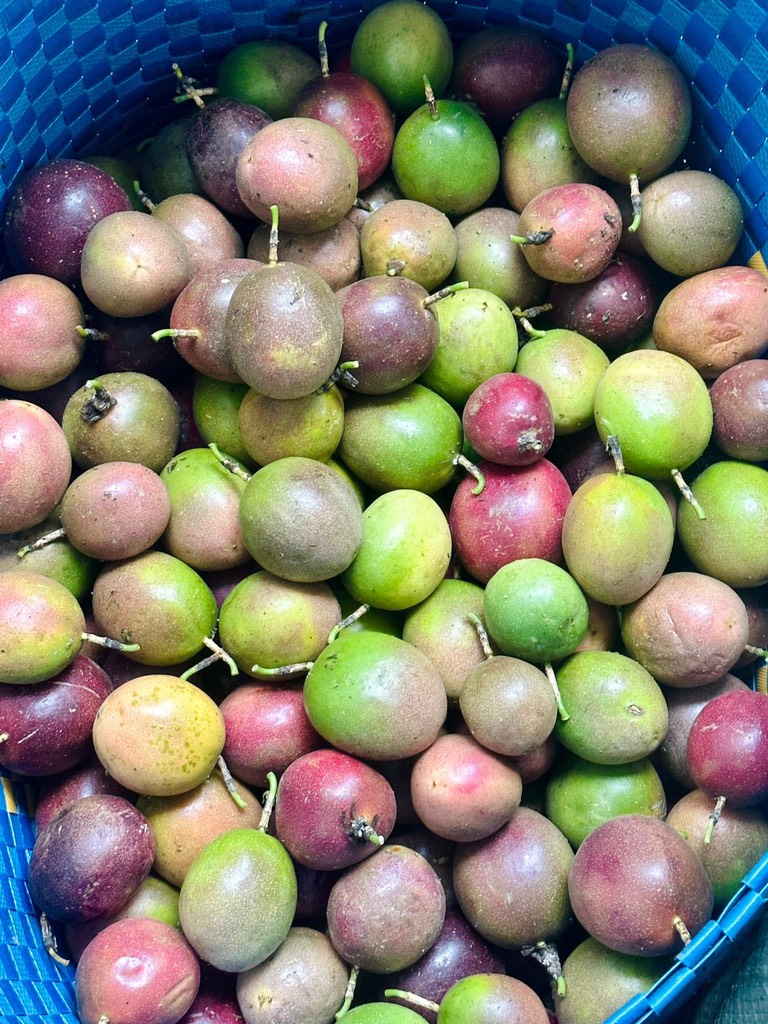 Chanh dây (chanh leo)