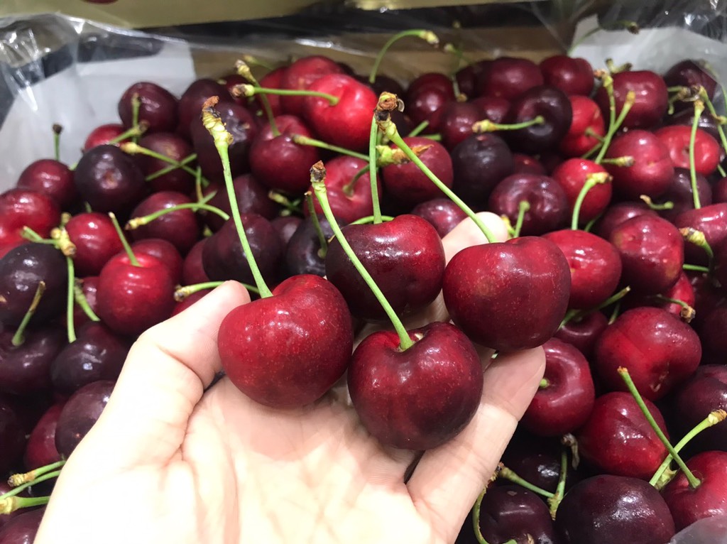 Cherry Úc Hallmark size 28-30