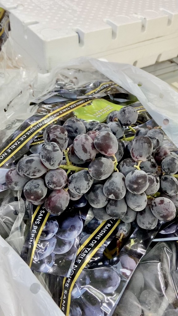 Nho đen Mỹ Pretty Lady/Midnight beauty