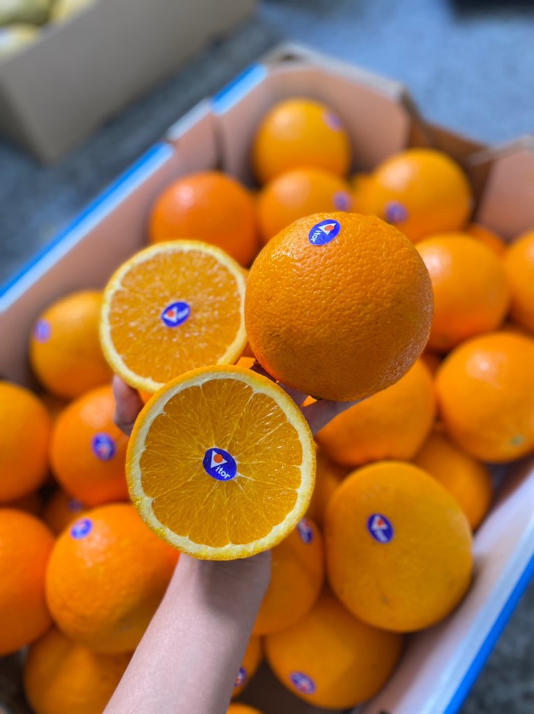 Cam Vàng Úc Victor