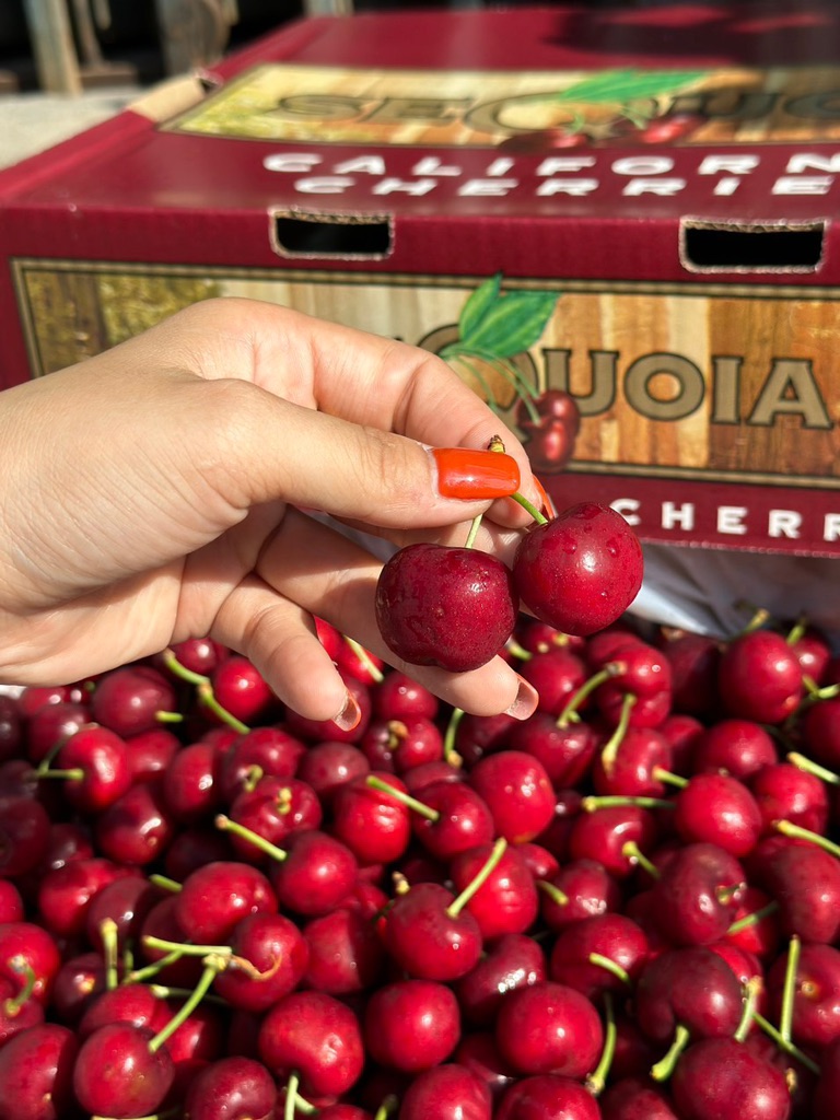 Cherry Mỹ Sequoia (cali)