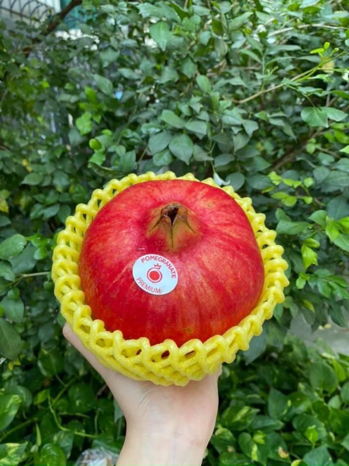 Lựu Peru size 5-6-7-8