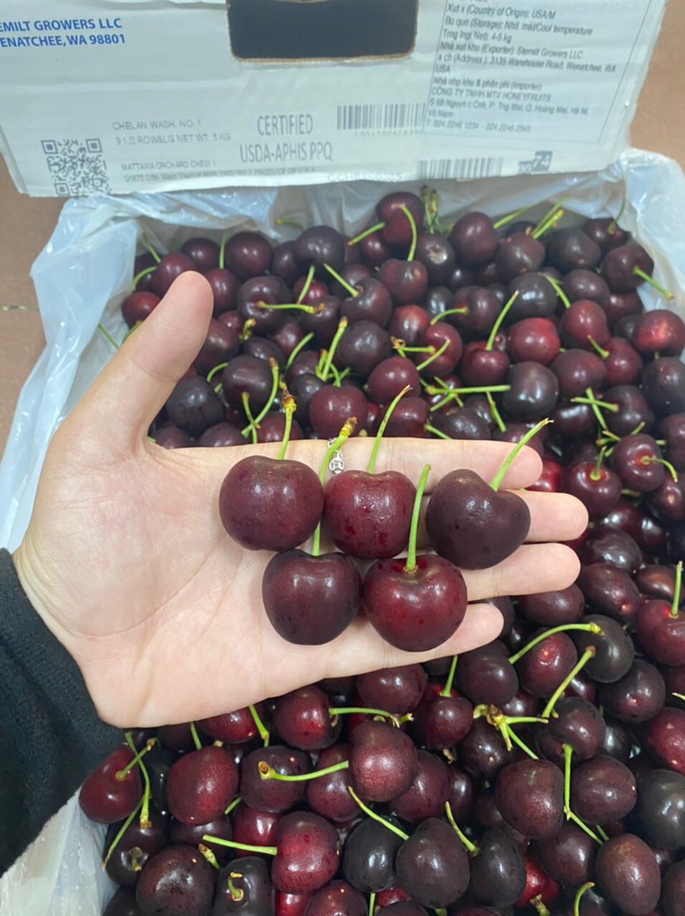 Cherry Mỹ CMI size 9