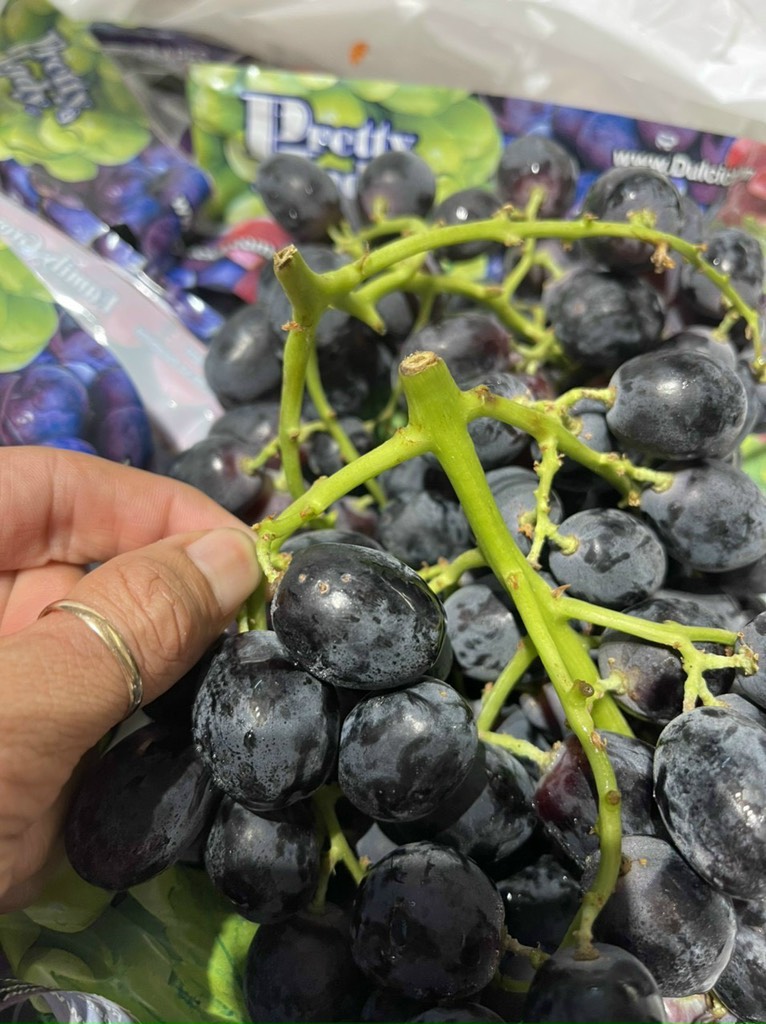 Nho đen Mỹ Pretty Lady/Midnight beauty