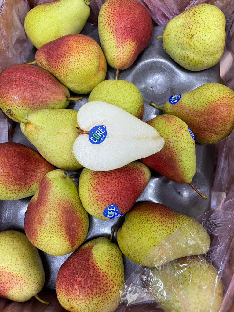 Lê Nam Phi Core sz 52