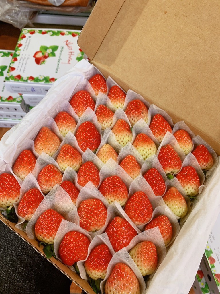 Dâu Tây giống Nhật size C (49 trái) hộp 500gr