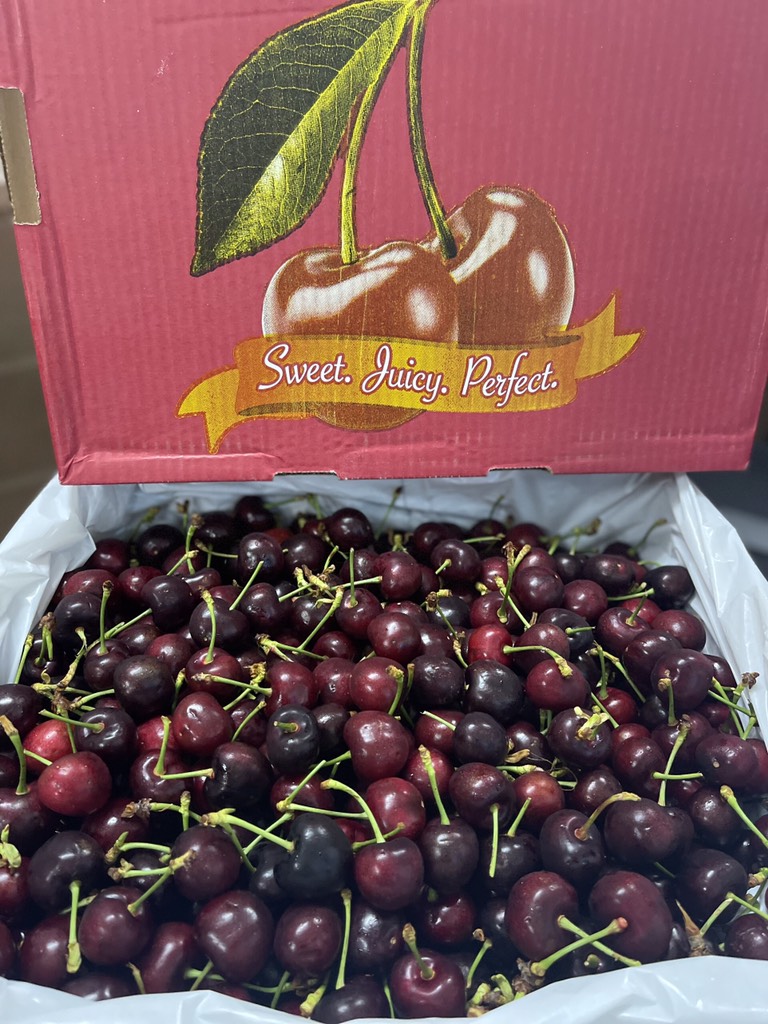 Cherry Mỹ M&R California size 9.5