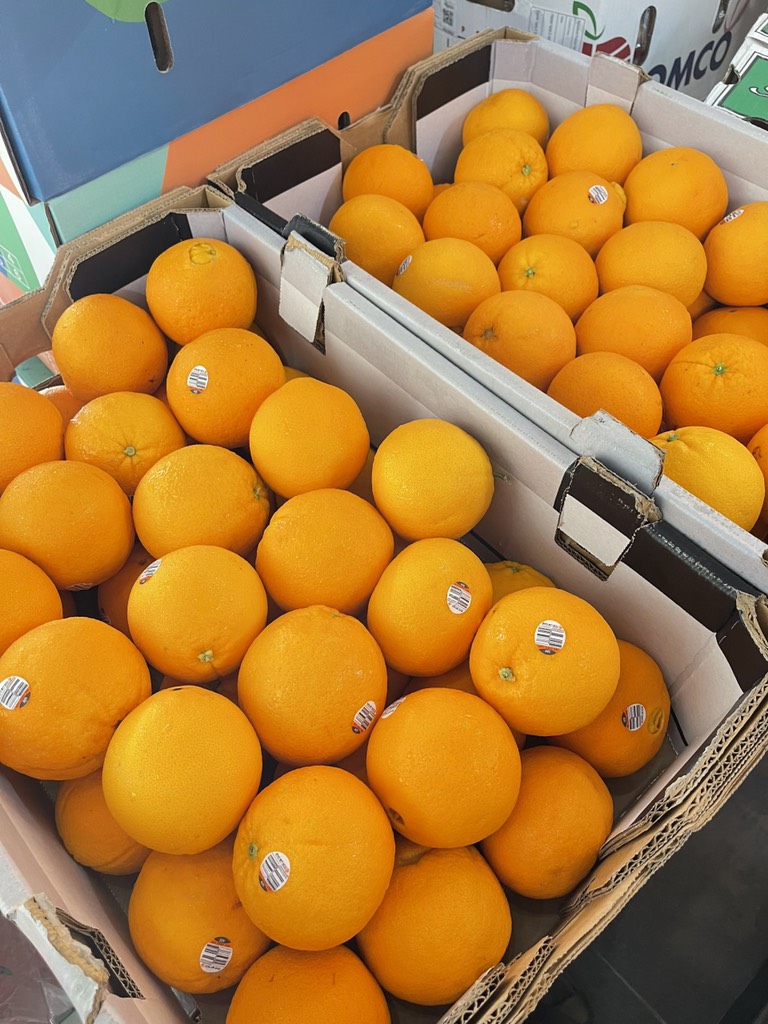 Cam Vàng Úc Victor