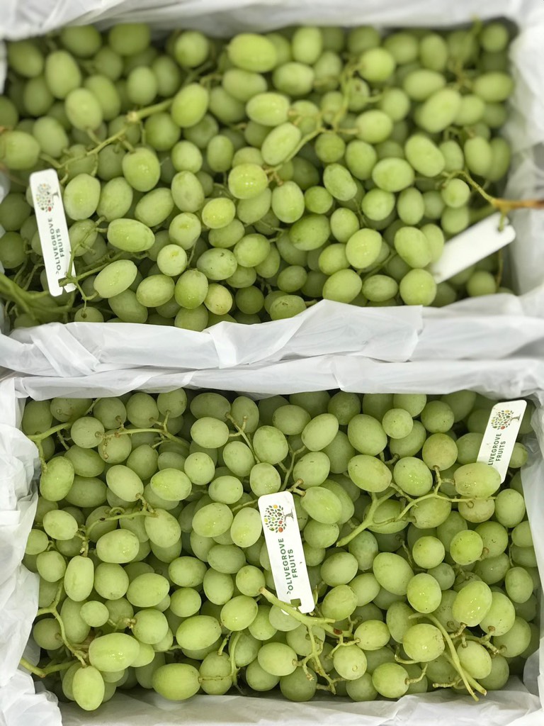 Nho xanh Úc Sweet Globe (Olive)