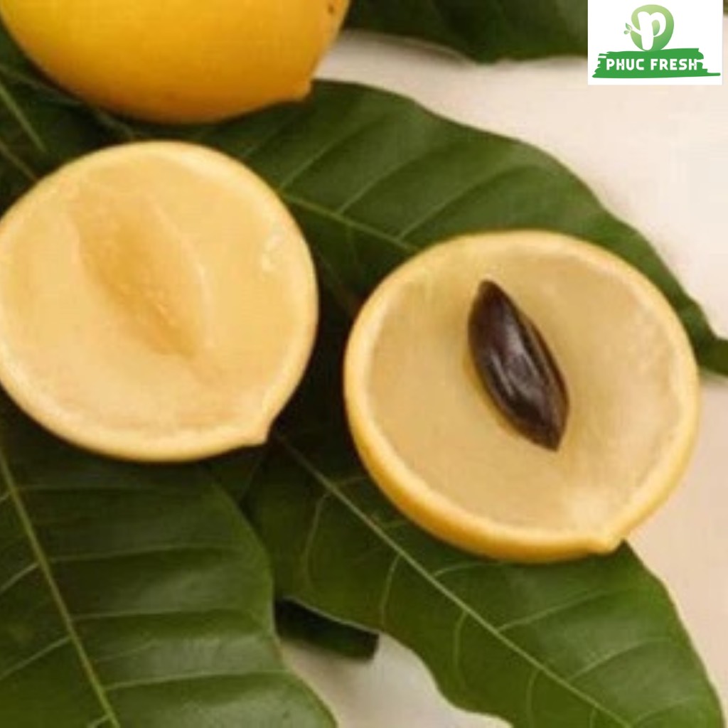 Vú sữa hoàng kim