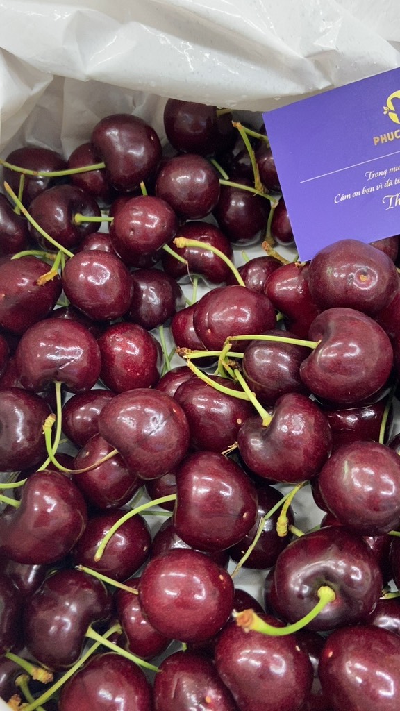 Cherry Mỹ chuông chủng black pear sz 9.5