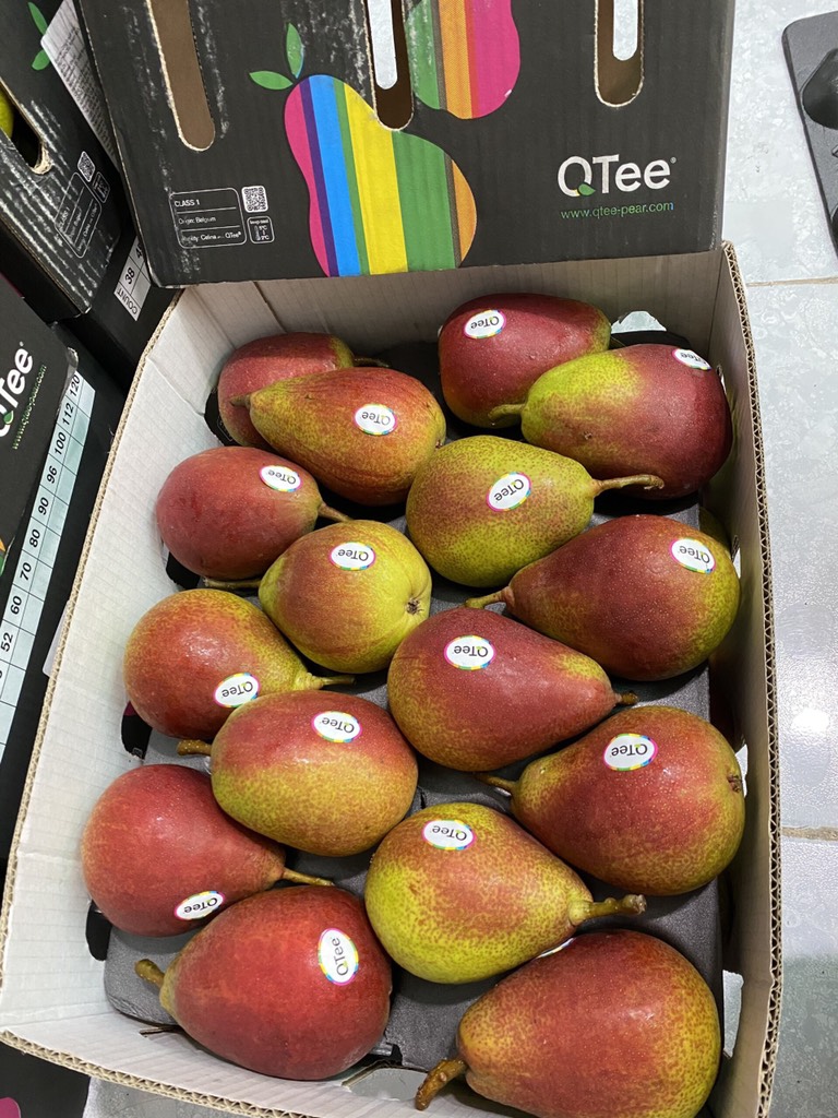 Lê Bỉ đỏ size 45