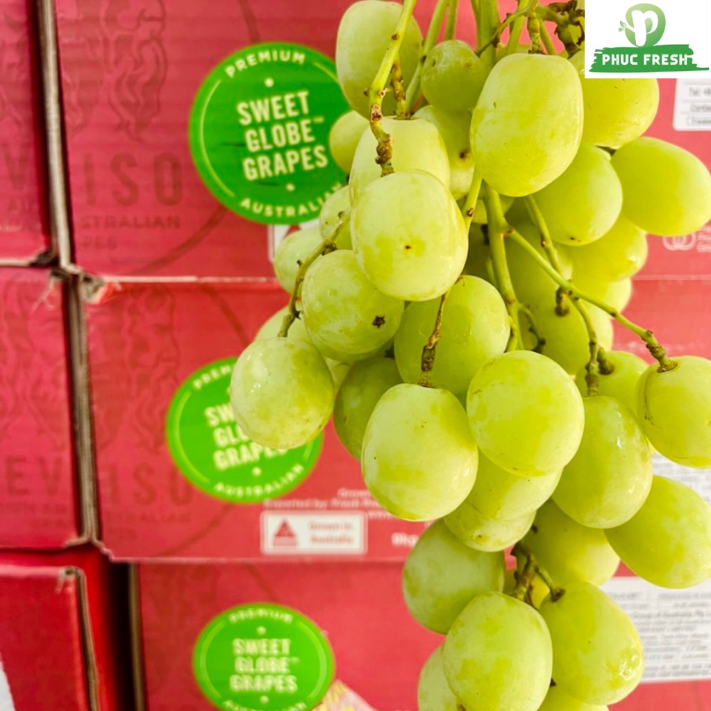 Nho xanh Úc Sweet Globe (Olive)