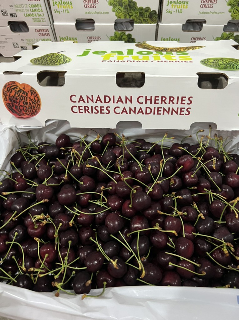 Cherry chuối Canada size 10