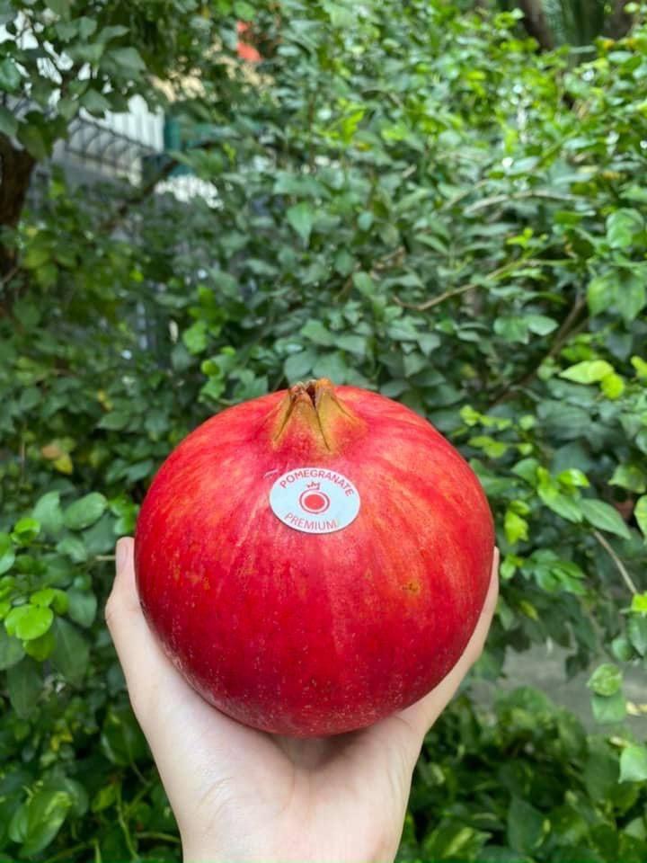 Lựu Peru size 5-6-7-8