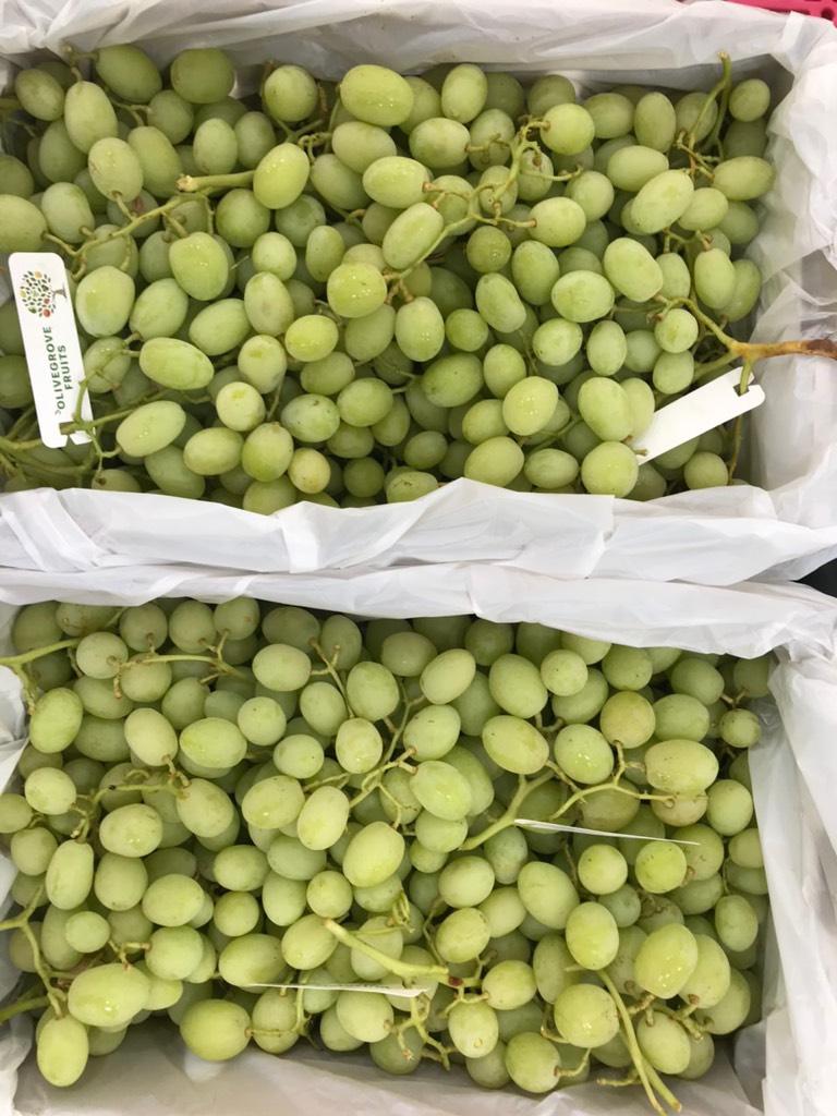 Nho xanh Úc Sweet Globe (Olive)