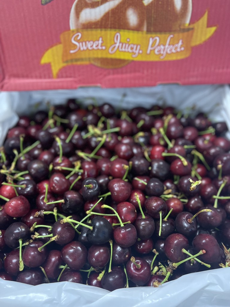 Cherry Mỹ M&R California size 9.5