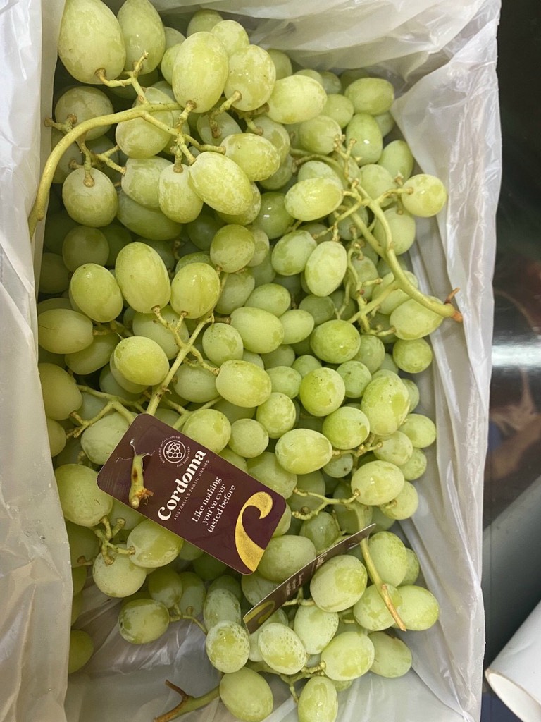 Nho xanh Úc Cordoma