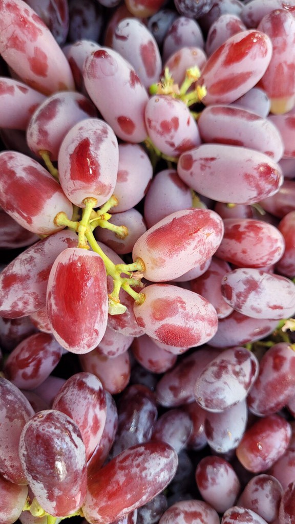 Nho đỏ Úc không hạt hàng air