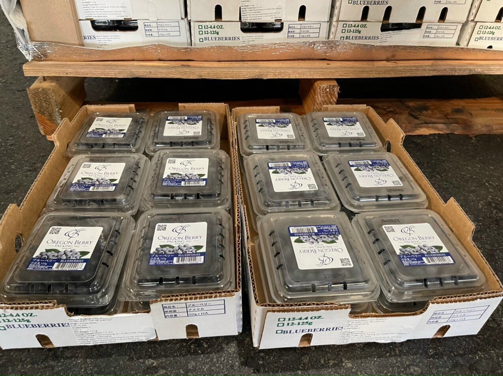 Việt Quất Mỹ Naturipe/Oregon