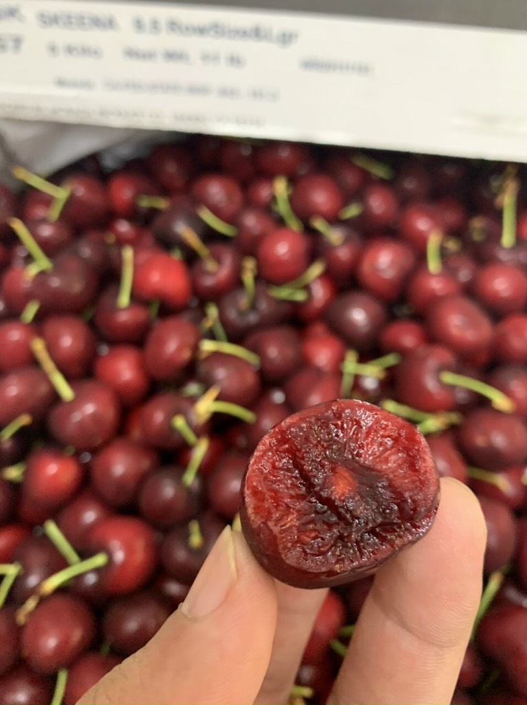 Cherry Mỹ Morada size 9