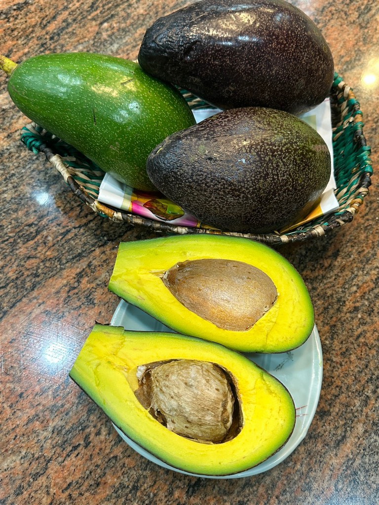 Bơ sáp canh tác an toàn