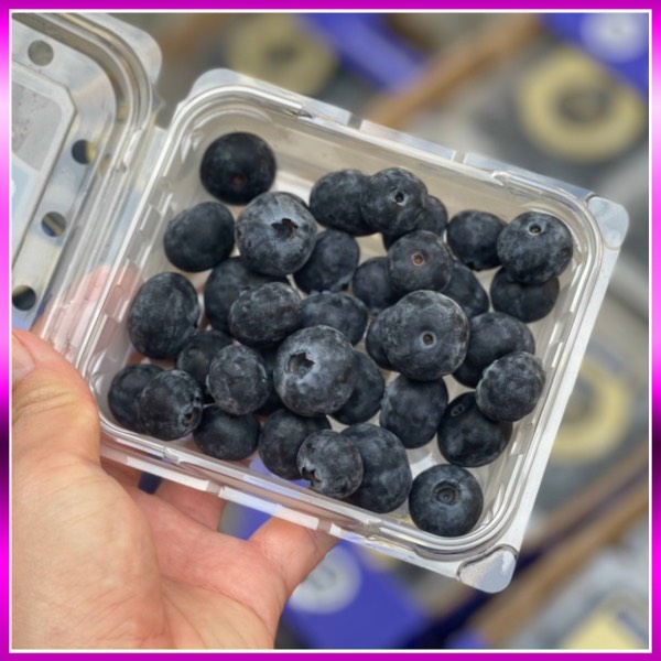 Việt quất Organic