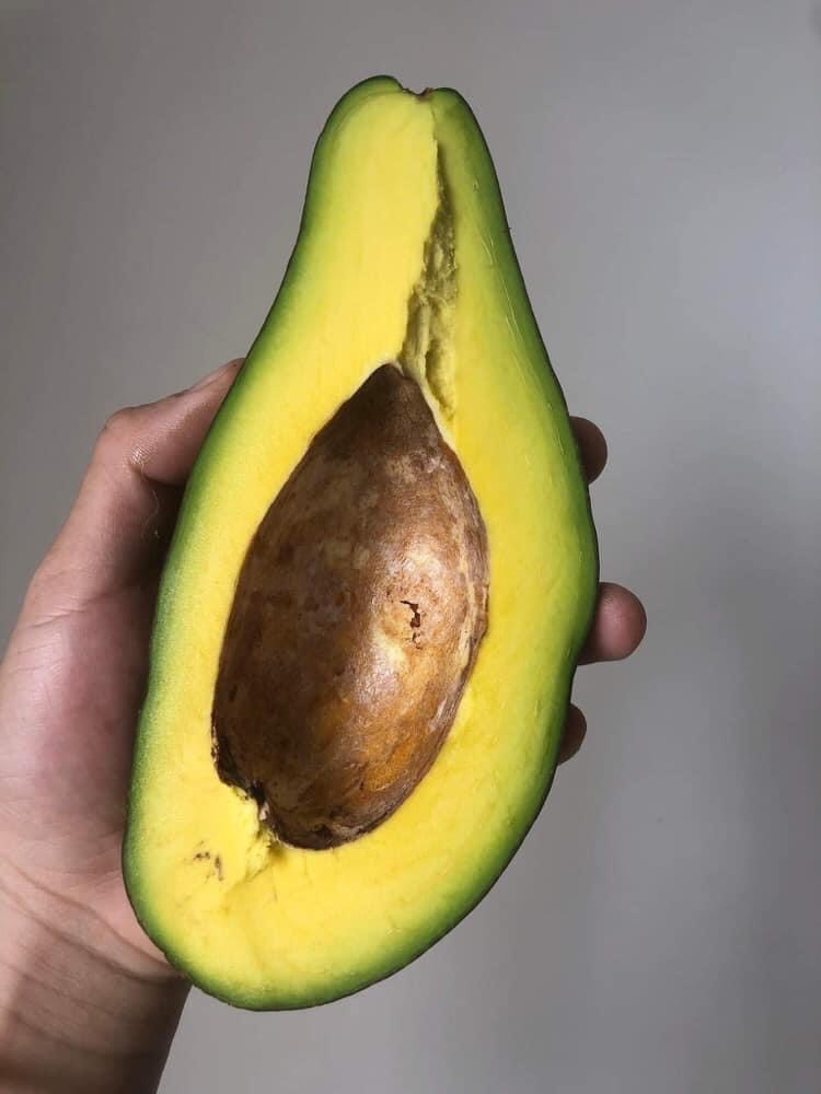 Bơ sáp canh tác an toàn