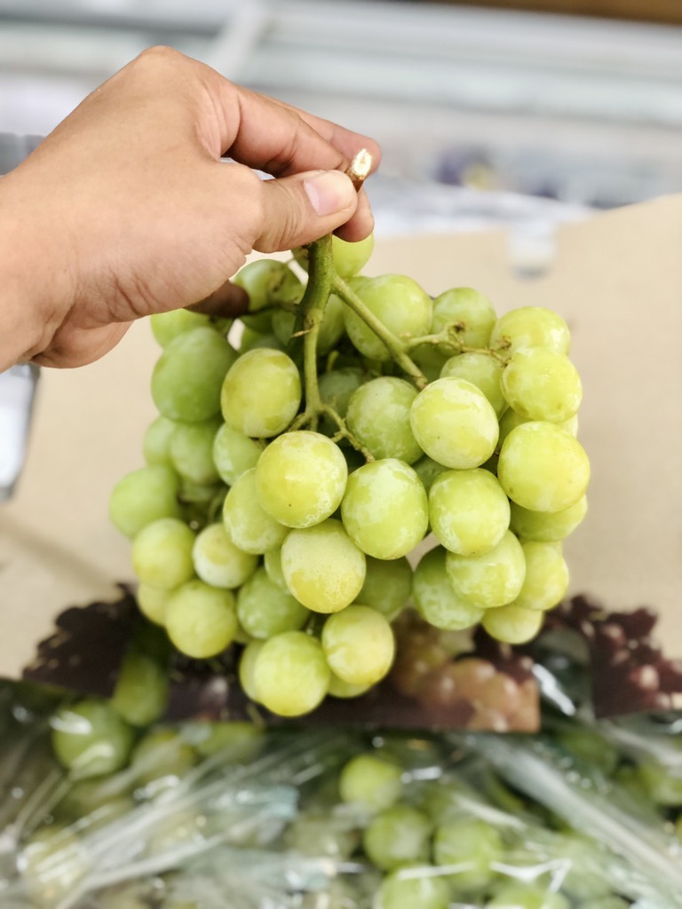 Nho xanh Chile