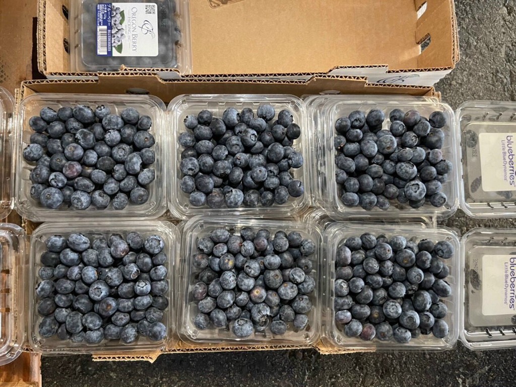 Việt Quất Mỹ Naturipe/Oregon