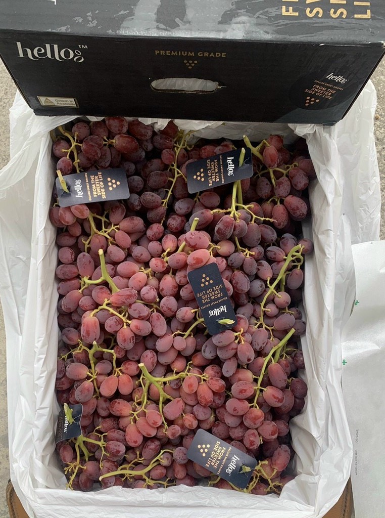 Nho đỏ Úc Hello