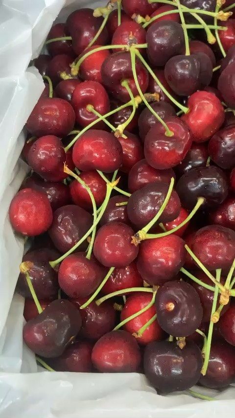Cherry Úc Goulburn size 28-30