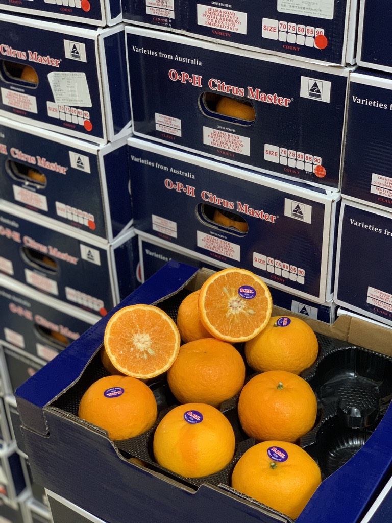 Quýt 2PH VIP size 20