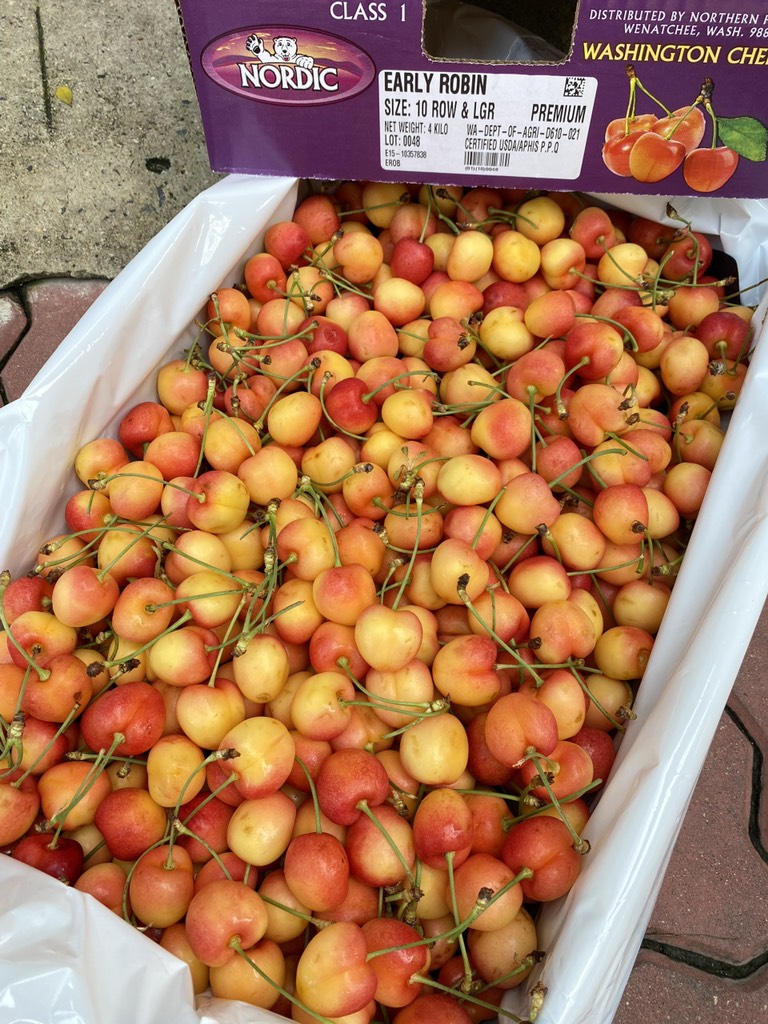 Cherry vàng Mỹ Nordic size 10