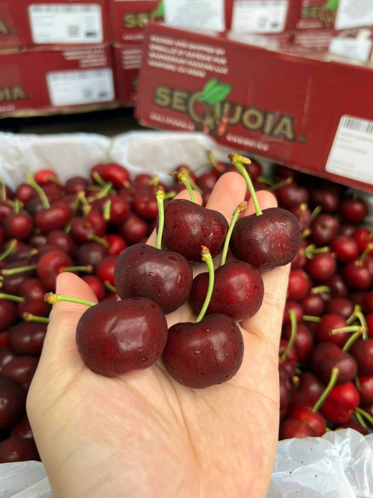 Cherry Mỹ Sequoia (cali)