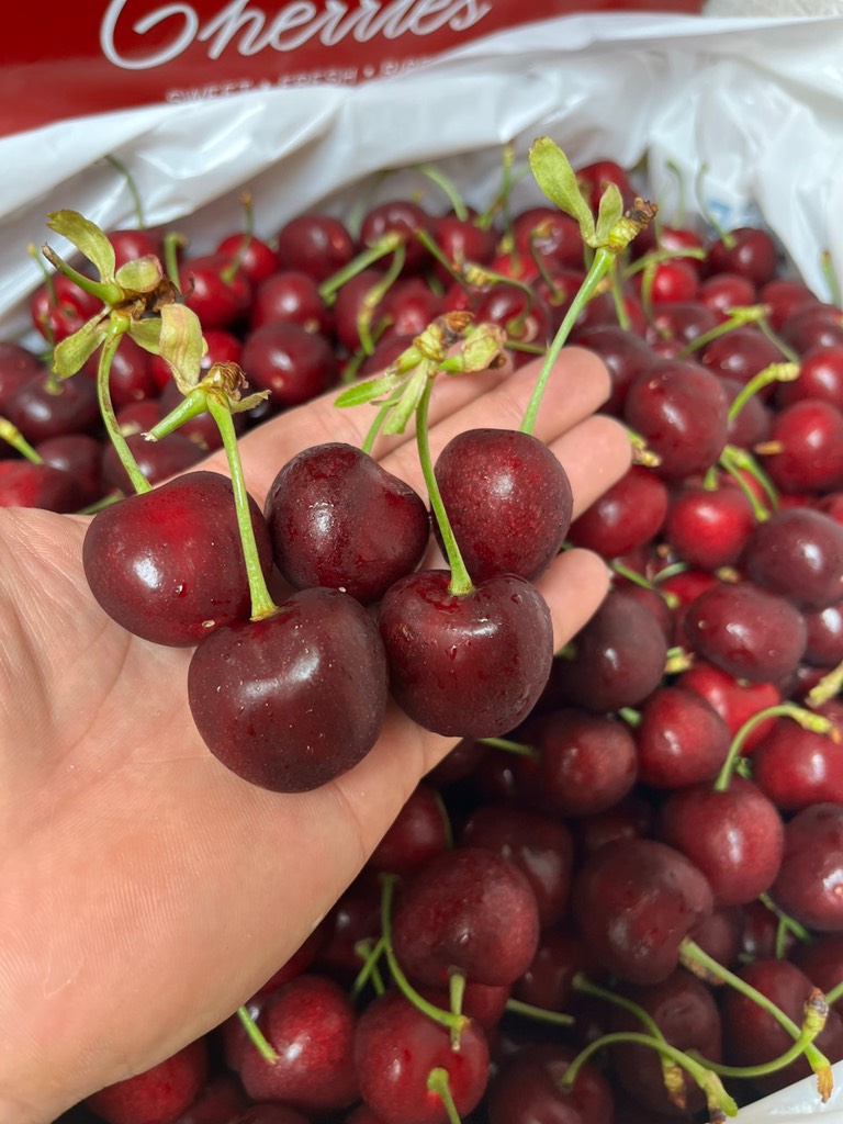 Cherry Cành Đào Mỹ s9