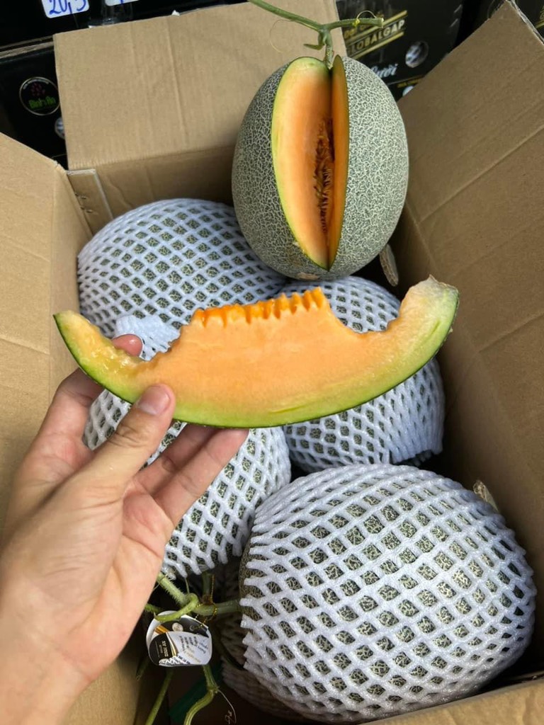 Dưa lưới (dưa Mật) Amore Bình An Farm premium