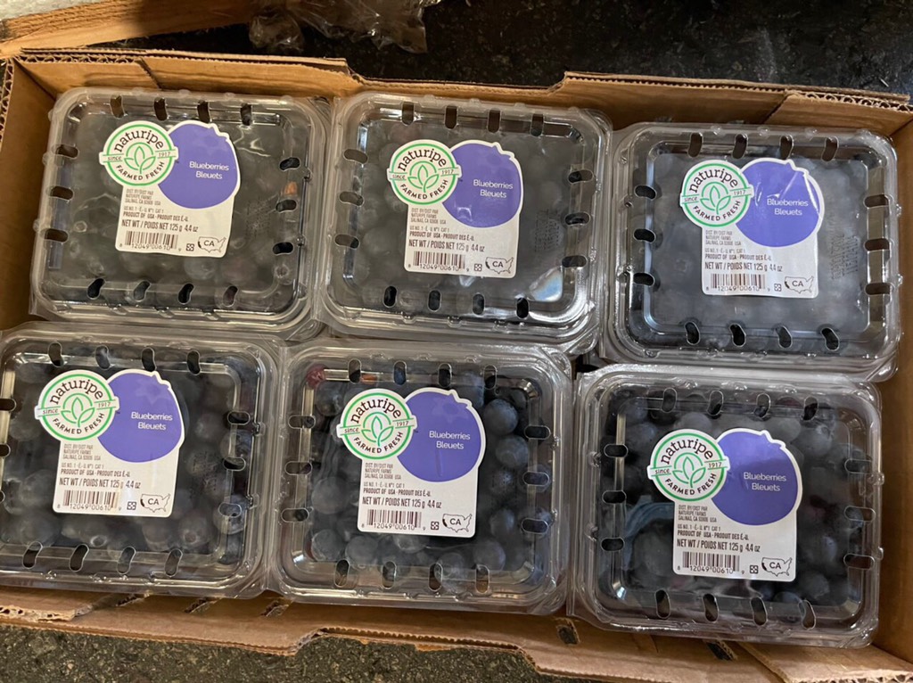 Việt Quất Mỹ Naturipe/Oregon