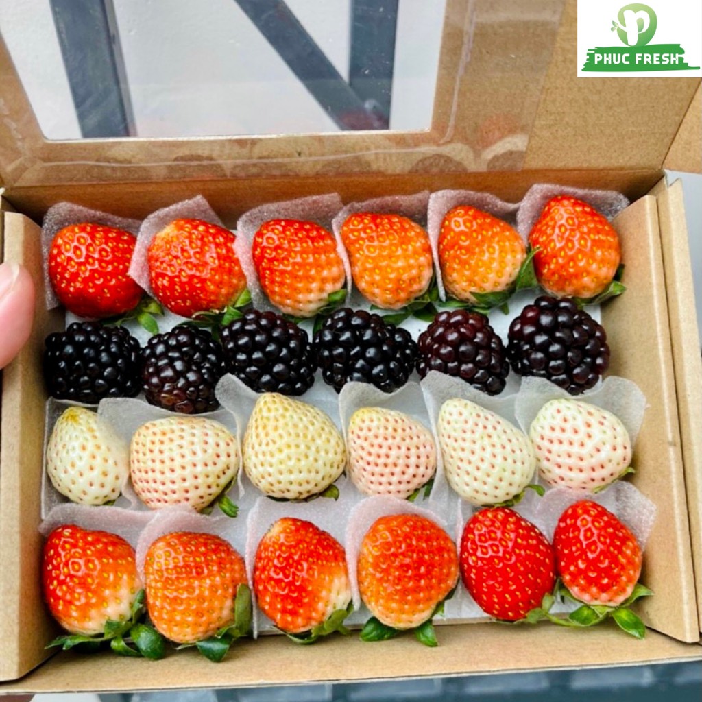 Set Tươi Trẻ Mix B (Dâu bạch tuyết, Nhật, Mons và Phúc bồn tử