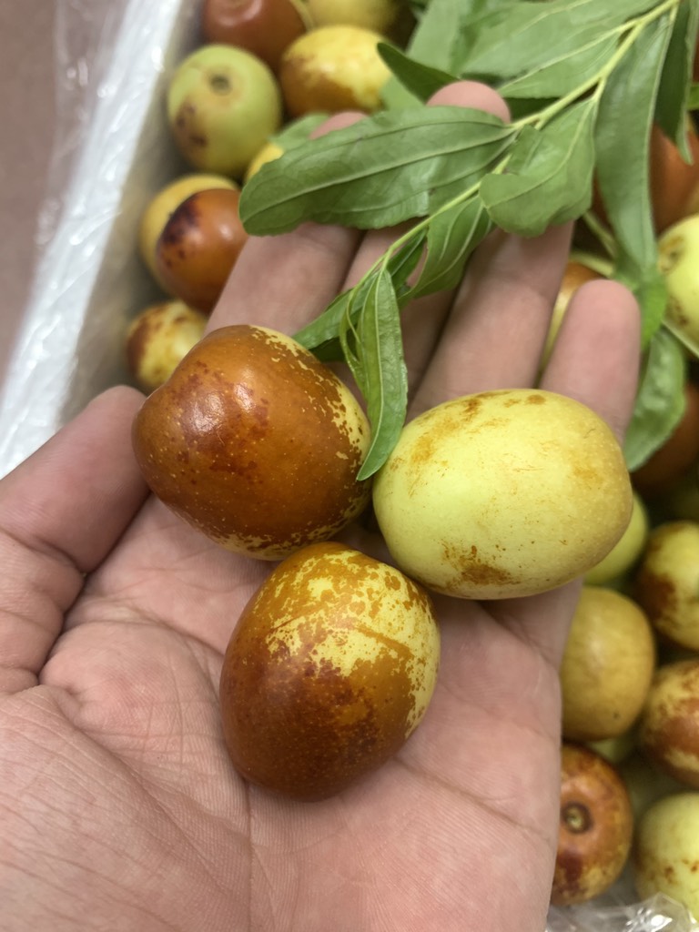 Táo tàu VIP (hồng táo)