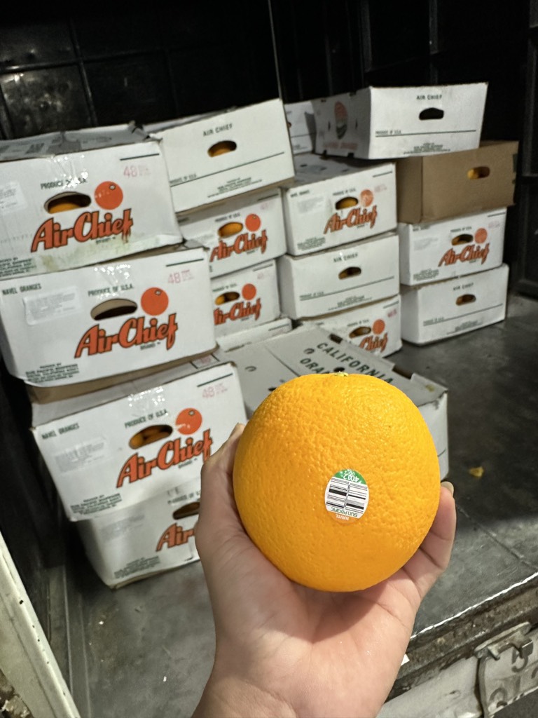 Cam Mỹ Airchief sz 48