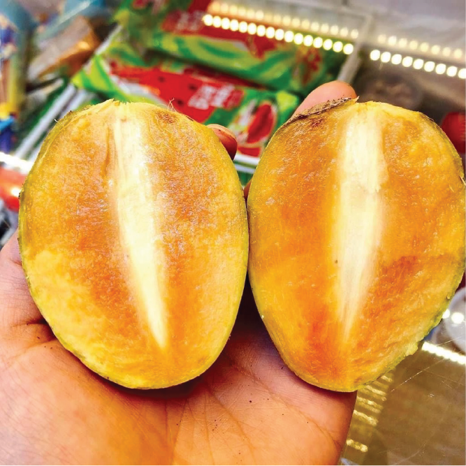 Sapoche da cám loại I Vietgap