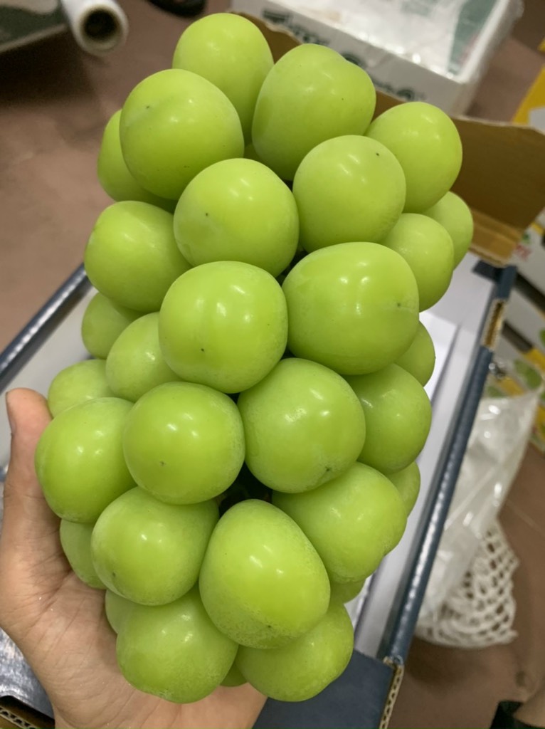 Nho xanh Shine Muscat
