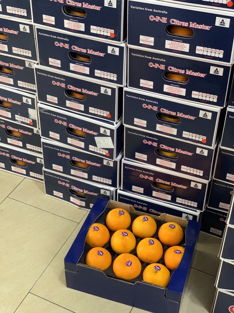 Quýt 2PH VIP size 20